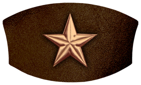 DNSWILL 430 CP BR Star Copper Brown